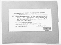 Image Associated With the Occurence